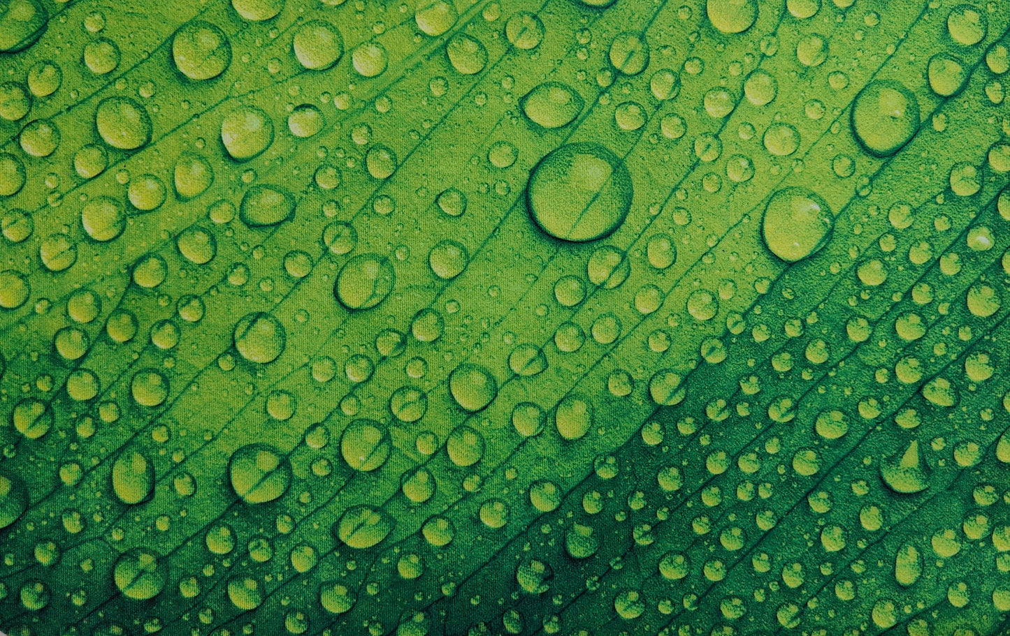 Bathroom Mats - Anti Skid