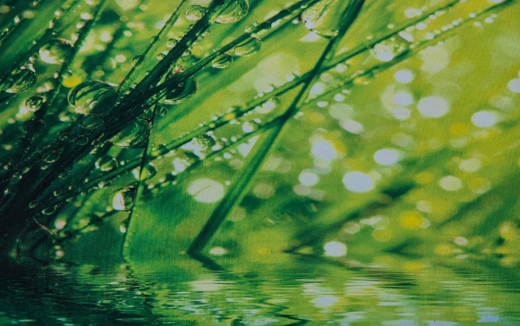 Bathroom Mats - Anti Skid