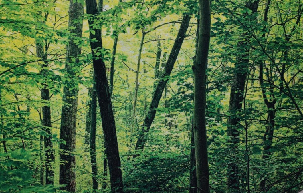 Bathroom Mats - Anti Skid